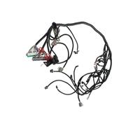 Bamjour LS Swap Standalone Wiring Harness Drive By Wire DBW for 4L60E 4L70E 4L75E Transmissions, Fits 1997-2004 Gen III LS Engines