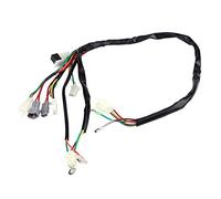 Bamjour Motorcycle Replacement Wire Wiring Harness Assembly for PW50 -, High-Speed Data Transmission, Fits Perfectly