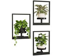 Bamworld Picture Frame Wall Plant Holder Window Plant Shelf Wall Decor Wall Hanging Planters Plant Hanger Outdoor Wall-Mounted Plant Rack Black Metal 3 Pack (Patent Design)