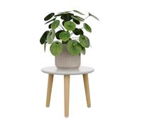 Bamworld Plant Stand Indoor Small Plant Table for Large Plants Wooden Plant Stool Tall Plant Holder for Living Room Bedroom Balcony White