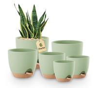 Bamworld Self Watering Plant Pots Indoor Set of 6, Plastic Flower Pots 12.7/14/15.2/16.5/17.8/20.3 cm with Saucers and Drainage Holes for Outdoor Windowsill Garden Decor（Green）