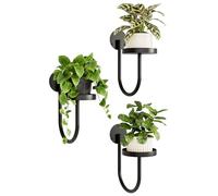 Bamworld Wall Plant Holder Wall Planters for Indoor Plants Plant Hanger Indoor Window Plant Shelves Hanging Plant Holder Window Plant Hanger Plant Decor Black 3pcs