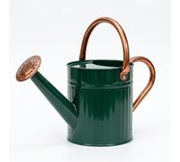 Bamworld Watering Can for Indoor Outdoor Plant Metal Watering Can with Removable Spout Embossd Design Plant Watering Devices Stainless Steel 1/2 Gallon Watering Cans Home & Garden Décor Deep Green