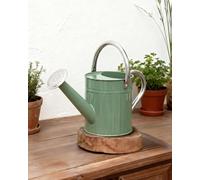 Bamworld Watering Can for Indoor Outdoor Plant Metal Watering Can with Removable Spout Embossd Design Plant Watering Devices Stainless Steel 1/2 Gallon Watering Cans Home & Garden Décor Creamy Green