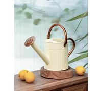 Bamworld Watering Can Indoor Stainless Steel Watering Can Indoor Outdoor Long Spout Water Can for Watering Plants 1/2 Gallon Plant Watering Cans Creamy-White