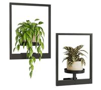Bamworld Window Plant Shelves Wall Plant Stand Hanging Planters for Indoor Plants Plant Hanger Outdoor Plant Holder Wall-Mounted Plant Rack Black Metal Room Decor 2 Pack(Pot Not Included)