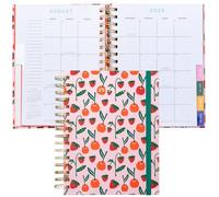 Ban.do 17-Month Dated August 2025 - December 2026 Hard Cover Self-Care Journal, Spiral Agenda with Monthly Calendar, Stickers, Art & Bonus Pages (Cherries)