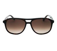 Banana Republic Brown Sf Lensed Havana Sunglasses