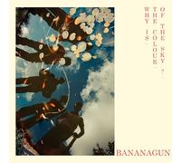 Bananagun - Why Is The Colour Of The Sky? [VINYL]