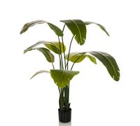 BANANE - Artificial plant Green