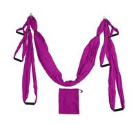 banapoy Aerial Yoga Swing Set, Aerial Yoga Hammock Silk Anti Inversion Swing Exercises Sling Kit, Yoga Hammock Hanging Swing, Trapeze Inversion Equipment, for Beginners Gym