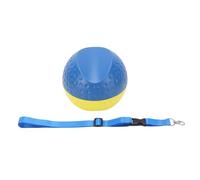 banapoy Golf Training Aid Ball, Golf Swing Trainer Ball with Lanyard, Forearm Connection Aid Posture Practice Training Tool for Fix Chicken Wing, Slicing, Scooping (L)