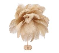banapoy Ostrich Feather Table Lamp, USB Rechargeable Modern Feather Lamp with 3 Modes Touch Control, Romantic Desk Night Light Decorative Beside Lamp for Girls Bedroom (Light Tan)