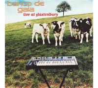 Banco De Gaia - Live at Glastonbury