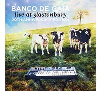 Banco De Gaia - Live at Glastonbury 20th Anniversary Edition