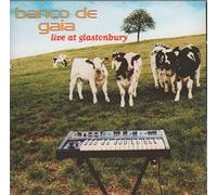 Banco De Gaia - Live From Glastonbury
