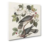 Band tailed Pigeons Bird by John James Audubon Vintage Canvas Wall Art Print Ready to Hang, Framed Picture for Living Room Bedroom Home Office Décor, 20x20 Inch (50x50 cm)