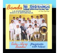 Banda El Recodo - Pegando Con Tubo!