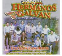 Banda Hermanos Galvan de Rosamorada - Exitazos rancheros