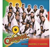 Banda Sinaloense Carnaval - Entre Suspiro Y Suspiro