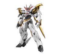 BANDAI Hobby KIT HG Amplified IMGN RYUOUMARU