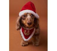 Bandana collar + Christmas beanie for dog FAMILY red