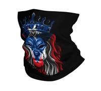 Bandana Porto Rico Flag Lion Headwear Dustproof Neck Gaiter Durable Headband For Workout Climbing Hunting