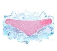 Bandana Rafraîchissant Chien Tour de Cou Respirant Été