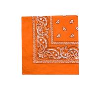 Bandana Scarf 20Pcs Colourful Paisley Bandanas Multifunction Head Scarves Unisex Neck Scarves Large Handkerchiefs Assorted Colour Square Bandanas for Men and Women/Ladies(55 x 55cm) (Orange)
