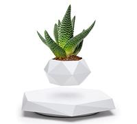 BandD Floating Plant Pot - Levitating Plant Pot for Succulents, air Bonsai & air Plants. Floating Planter for Home, Office & Desk Levitating Decor. Magnetic Floating Levitating Display. (White)