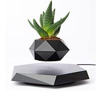 BandD Levitating Plant Pot - Floating Plant Pot for Small Plants. Levitating Decor for Home & Office Magnetic Floating Levitating Display (Black)