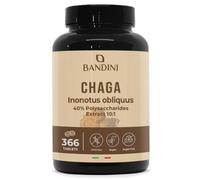 Bandini® Chaga 366 tablets | Based on Inonotus Obliquus mushroom, rich in antioxidants and polyphenols to support normal daily balance | Up to 1000mg per daily dose