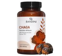 Bandini® Chaga Mushroom 366 tablets | based on Inonotus Obliquus mushrooms,