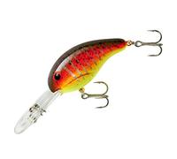 BANDIT LURES Series 300 Crankbait Bass Fishing Lures, Fisghing Accessories, Dives to 12-feet Deep, 2', 1/4 oz, Wild Thing, (BDT3D23)
