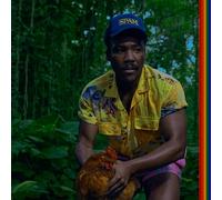 Childish Gambino – Bando Stone and the New World – Vinyl (2025)