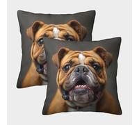 BANEUBBDE British BullDog Throw Pillow Covers Pack of 2 Decorative Pillow Cases Cushion Covers for Sofa h Lovely BullDog Living Room Farmhouse Outdoor Garden Modern Cushion Covers45x45cm