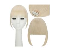 Bangs Hair Clip Synthetic Fake Blunt Air Bangs Clip in Hair Extensions Clip in French Bangs Straight Fringe False Hairpiece for Women Clip in Bangs(Color:613C)