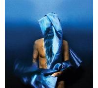 Banhart, Devendra - Flying Wig [VINYL]