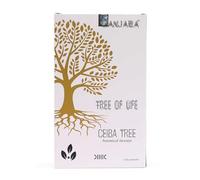 Banjara Botanical Incense 15g Pack | Handmade Eco-Friendly Natural Incense Sticks from India | Premium Varieties: Baobab, Bodhi, Kabbalah, Ceiba, Yggdrasil & Oak Trees (Ceiba Tree)