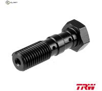 Fits TRW MCH951S Brake pipe bolt MCH951S M10x1,25, colour Black Brake ⭐UK Stock⭐