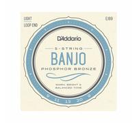 BANJO STRINGS D'ADDARIO EJ69 - 5 STRING - PHOSPHOR BRONZE LIGHT 9-20 - LOOP END