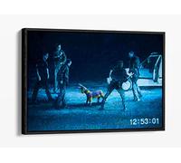 Banksy Pinyana Police Brutality Blue/Black Canvas Floater Frame Print Picture Art - Black Frame 36 inch wide x 24 inch high