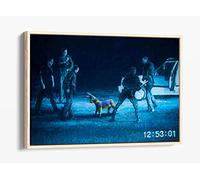 Banksy Pinyana Police Brutality Blue/Black Canvas Floater Frame Print Picture Art - Light Oak Frame 12 inch wide x 8 inch high