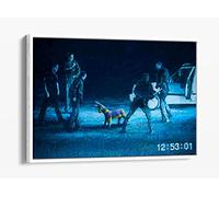 Banksy Pinyana Police Brutality Blue/Black Canvas Floater Frame Print Picture Art - White Frame 30 inch wide x 20 inch high