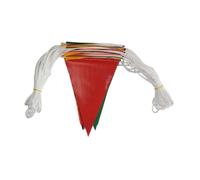 Banner Flags Rainbow 30M Sunproof Garland Triangle Flags for Grand Opening Celebrations Party Carnival Decoration