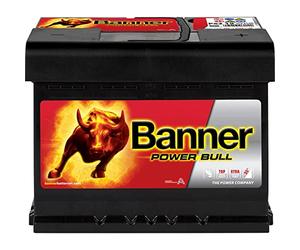Banner P6219 Power Bull 027 Power Bull Calcium Spill & Backfire Protected Battery