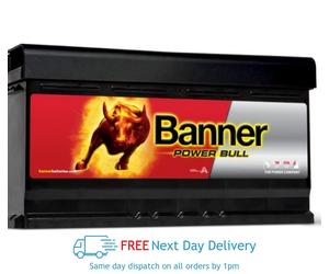 Banner P9533 SMF Battery 850 CCA 95Ah 3 Year Warranty