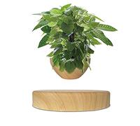 BANNESE Levitating Floating Plant Pot for Air Plants, Wood Grain Rotation Suspension Flower Bonsai Pot for Garden Home Desk Decoration for Birthday, Housewarming, Party Gifts,dark wood grain