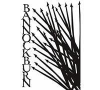 Bannockburn: The Battle for a Nation