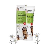 BANO Arlberg Marmot Sport and Joint Ointment | Original Marmot Ointment | Made in Austria | Arnica | Mountain Pine Oil | Menthol 60 ml